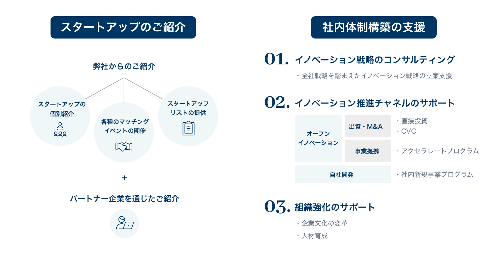 Spiral Innovation Partners Spiral Capital スパイラルキャピタル